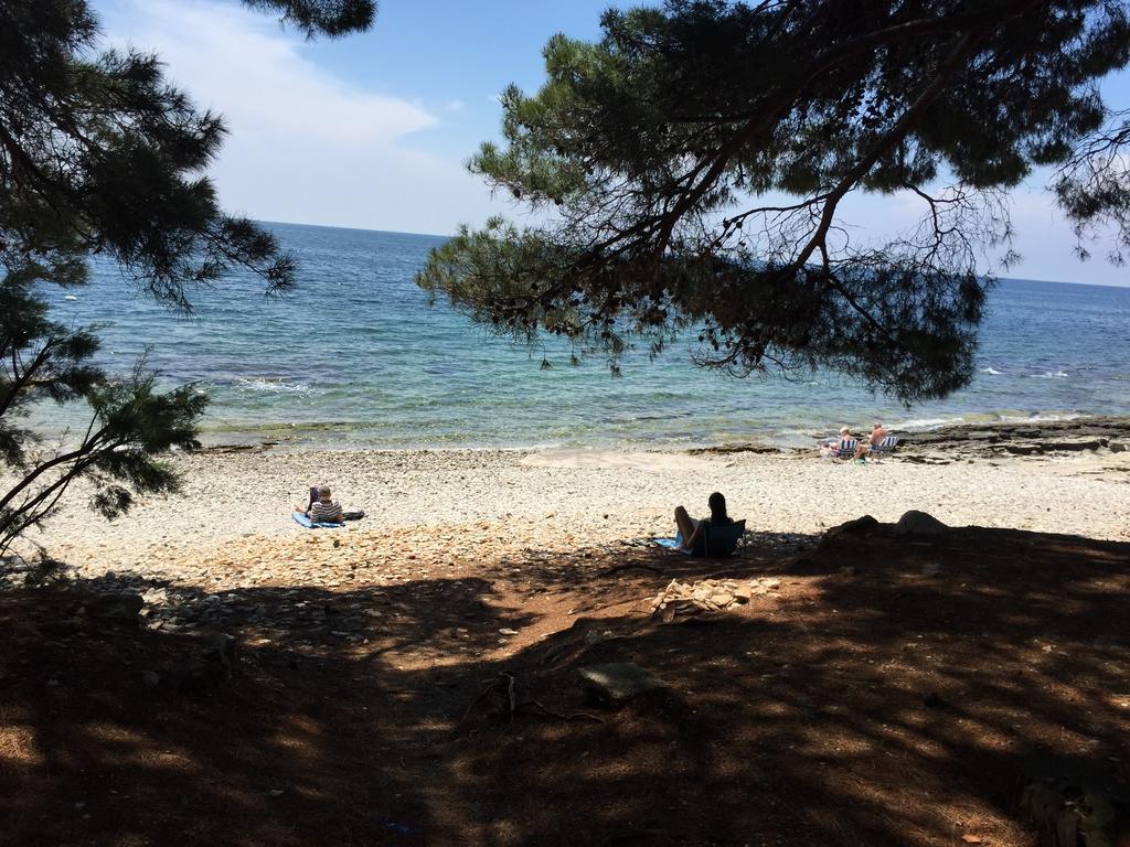 Holiday Park Mimoza Bašanija Eksteriør bilde