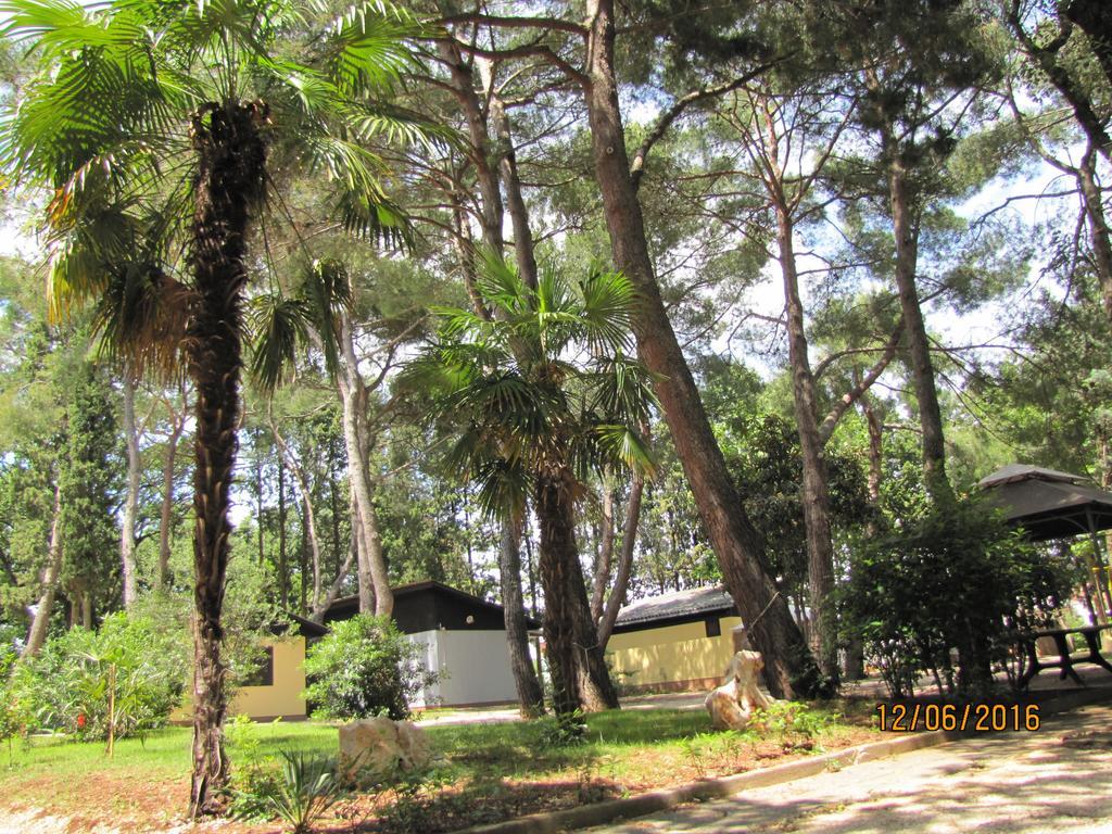 Holiday Park Mimoza Bašanija Eksteriør bilde