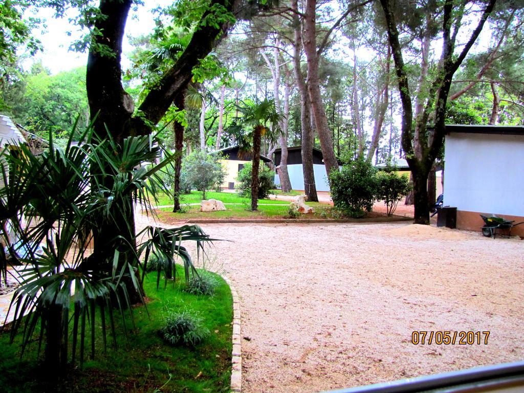 Holiday Park Mimoza Bašanija Eksteriør bilde
